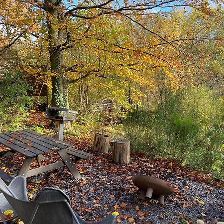 Chalet Tropical Avec Bain A Bulles - In The Woods Gesves Exterior photo